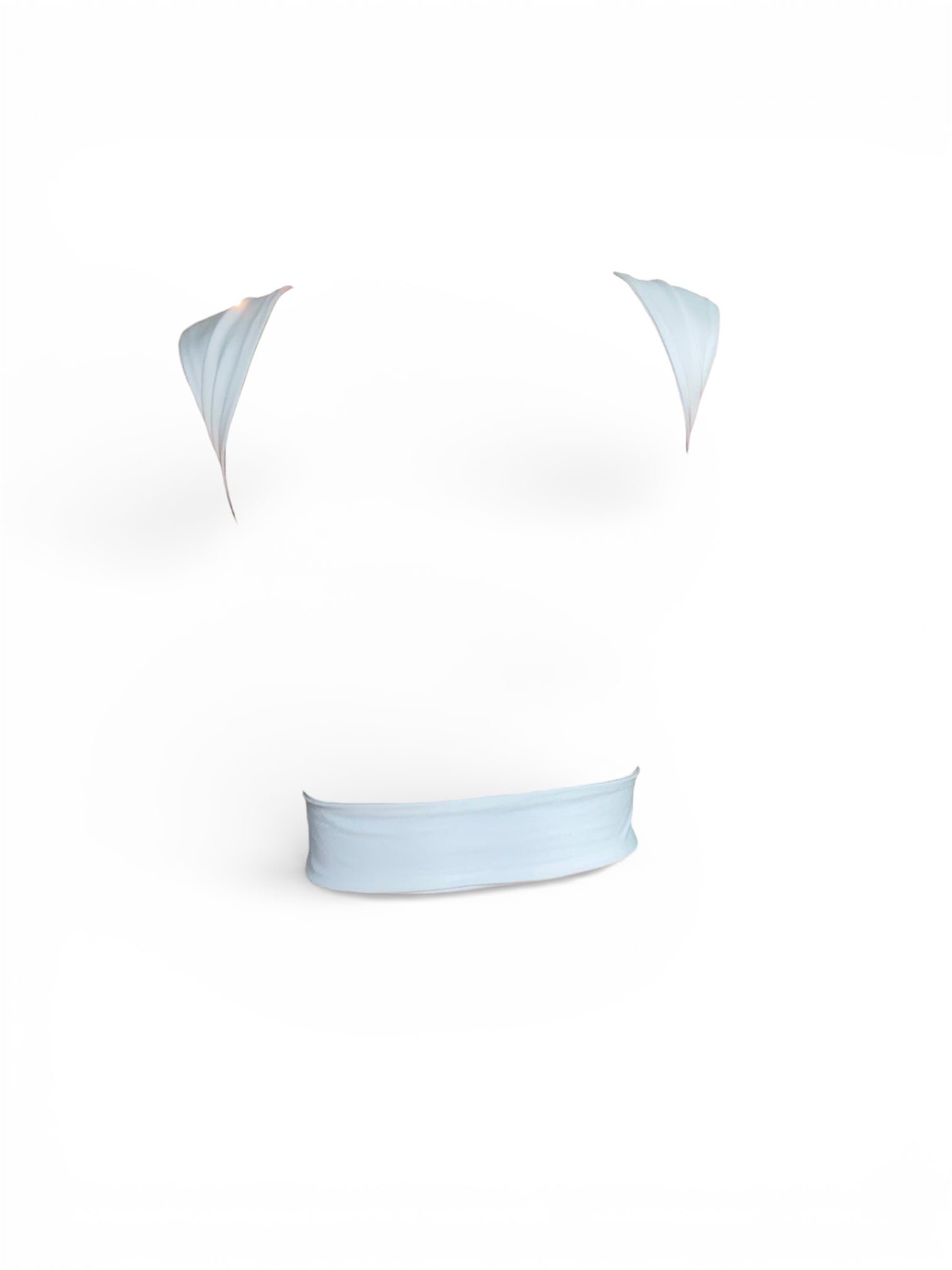 Palisades Cutout Crop Top